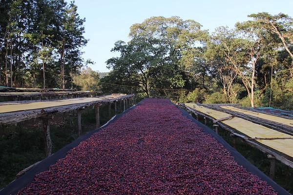 ETHIOPIA - KABIRA (COMING SOON)
